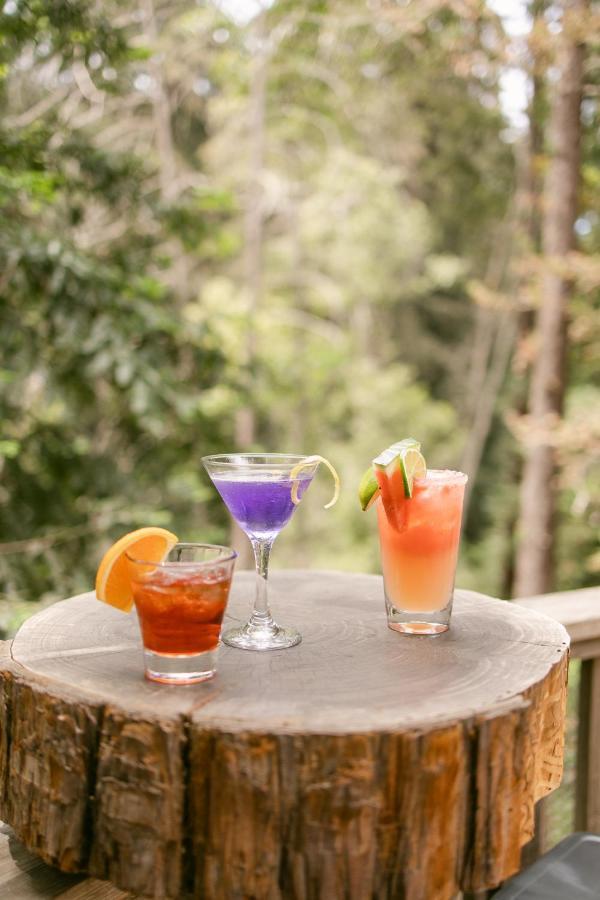 Fernwood Resort ビッグ・サー エクステリア 写真